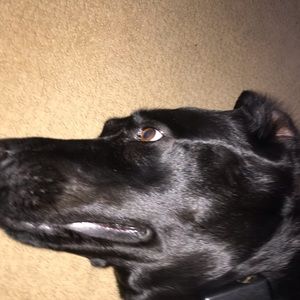 Meet your Posher, Luke